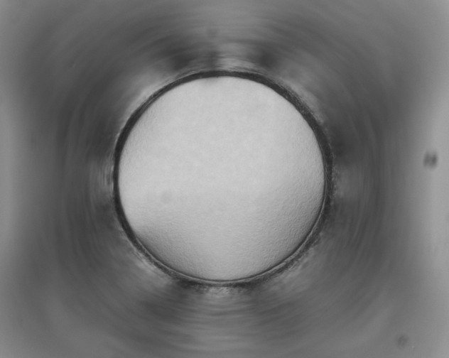 X0000097601322200803071422