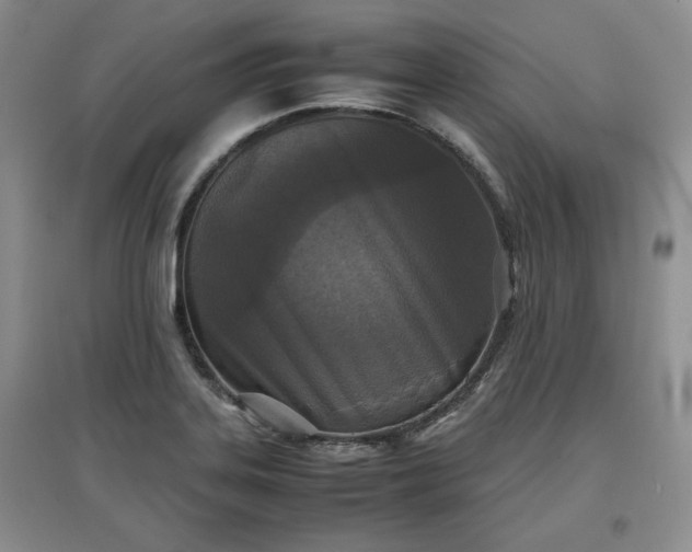 X0000097601323200803071422