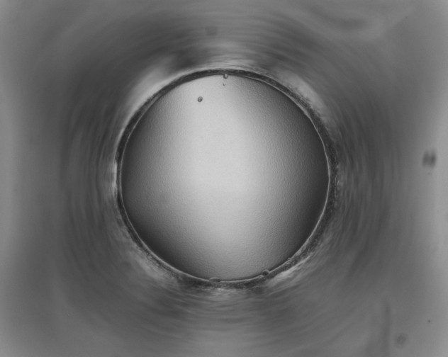 X0000097601324200803071422
