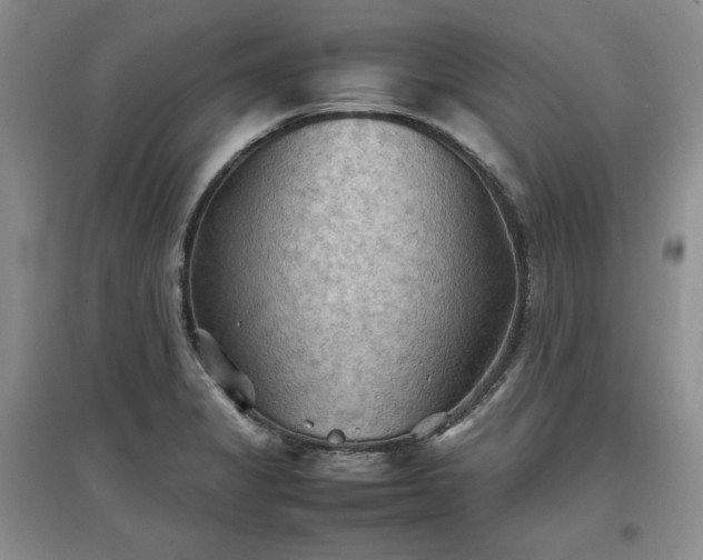X0000097601325200803071422