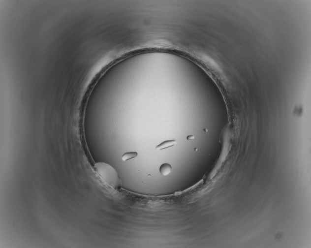 X0000097601326200803071422