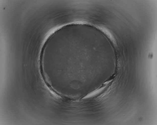 X0000097601327200803071422