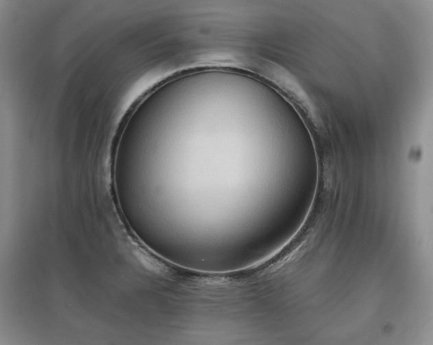 X0000097601328200803071422