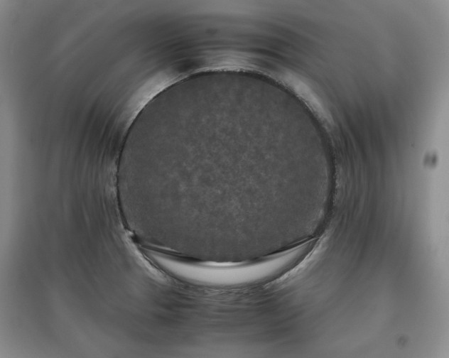 X0000097601329200803071422