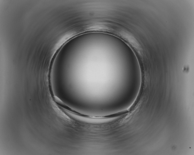 X0000097601330200803071422