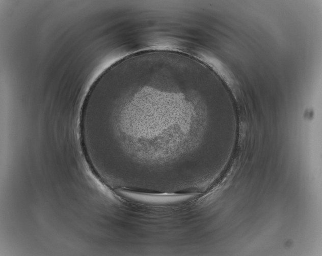 X0000097601331200803071422