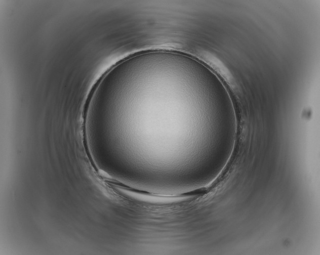 X0000097601332200803071422