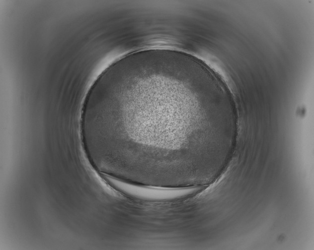 X0000097601333200803071422