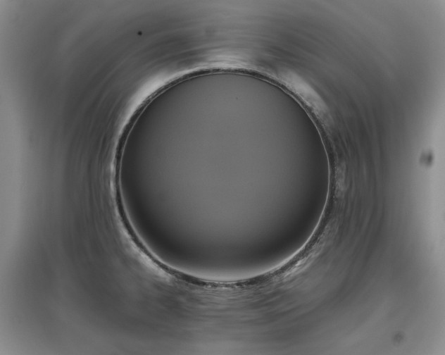 X0000097601334200803071422