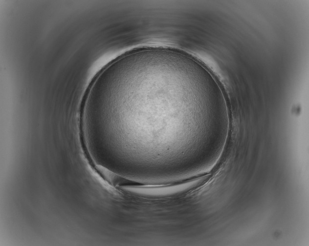 X0000097601335200803071422