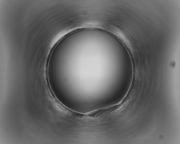 X0000097601336200803071422