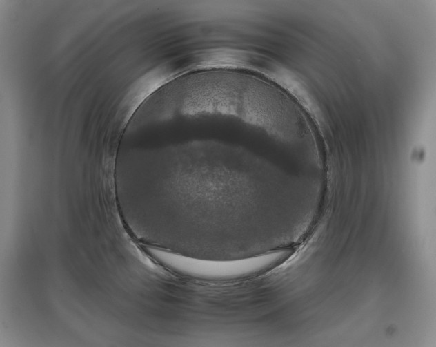 X0000097601337200803071422
