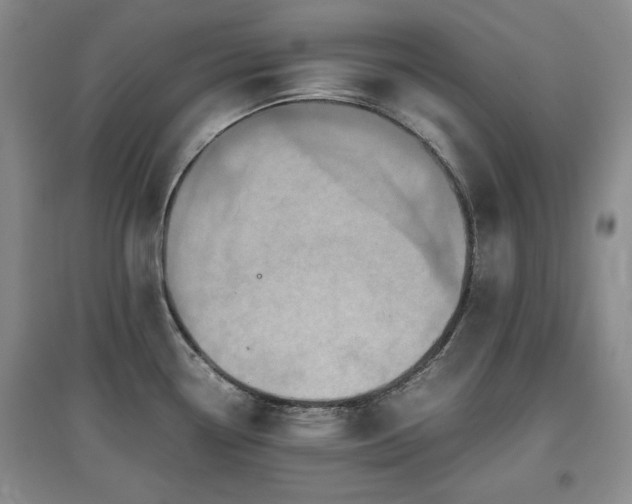 X0000097601338200803071422