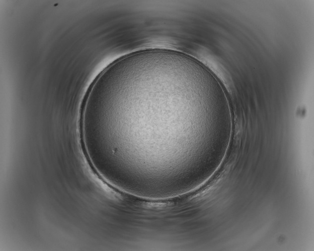X0000097601339200803071422