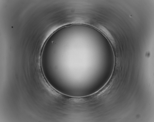 X0000097601340200803071422