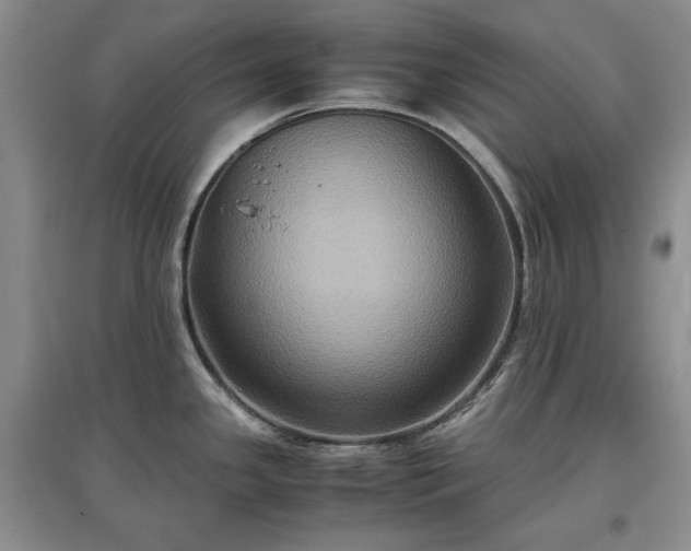 X0000097601341200803071422