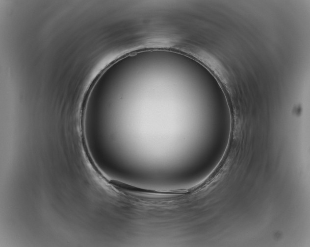 X0000097601342200803071422