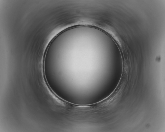 X0000097601343200803071422