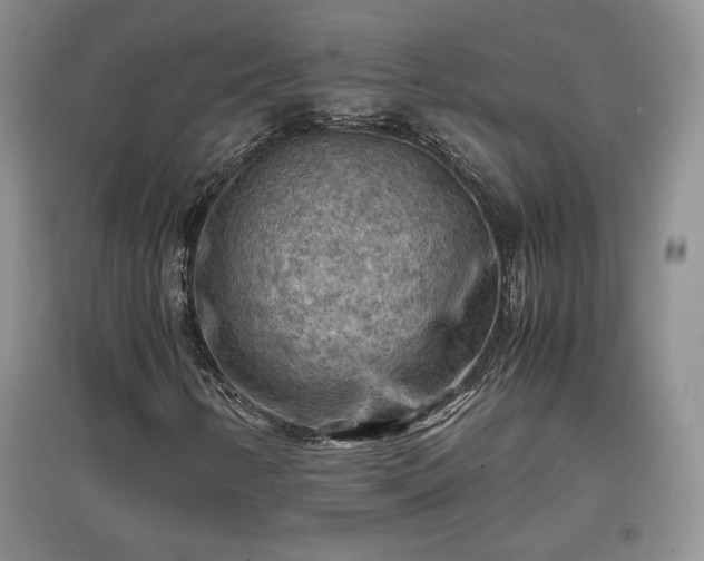 X0000097601346200803071421