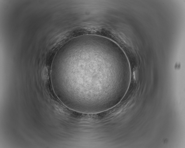 X0000097601347200803071421