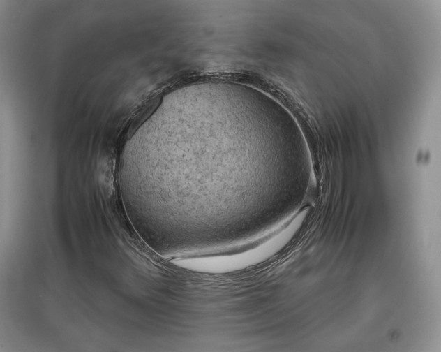 X0000097601348200803071421