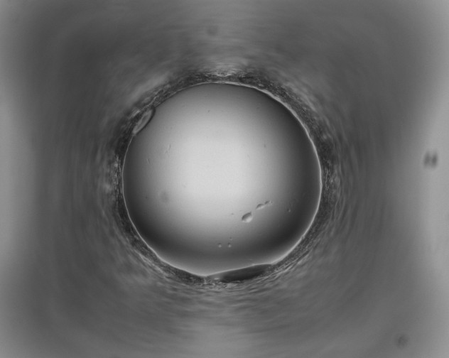 X0000097601349200803071421