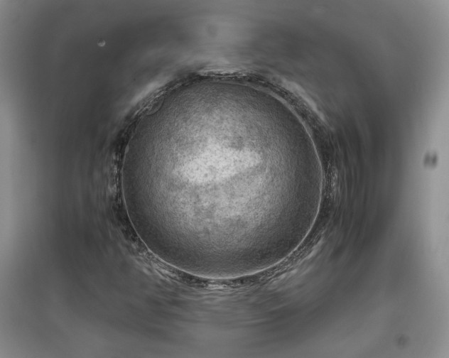 X0000097601350200803071421