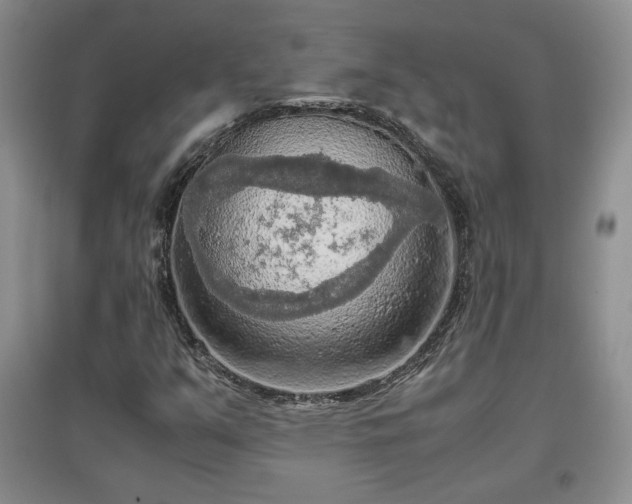 X0000097601351200803071421