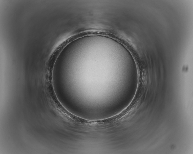 X0000097601352200803071421