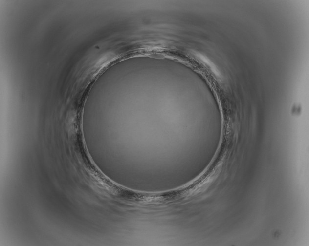 X0000097601353200803071421