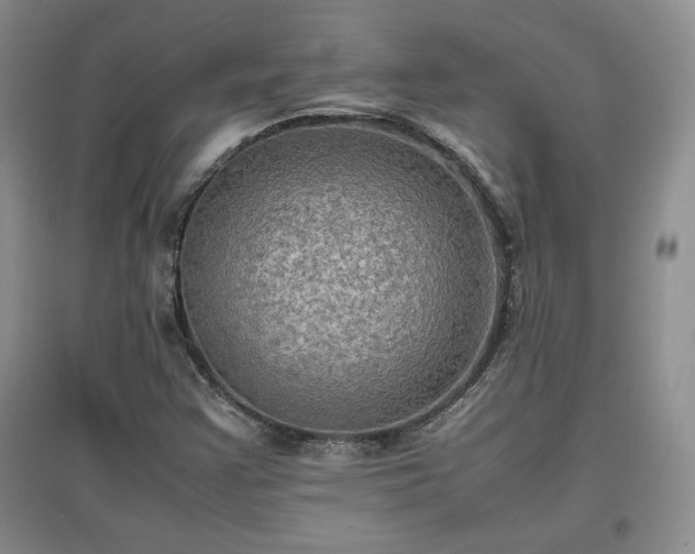 X0000097601355200803071421