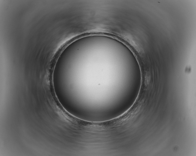 X0000097601356200803071421
