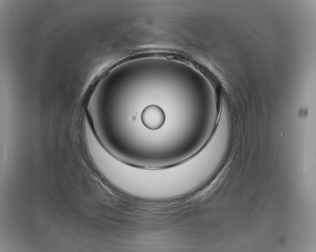 X0000097601357200803071421