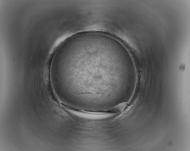 X0000097601358200803071421