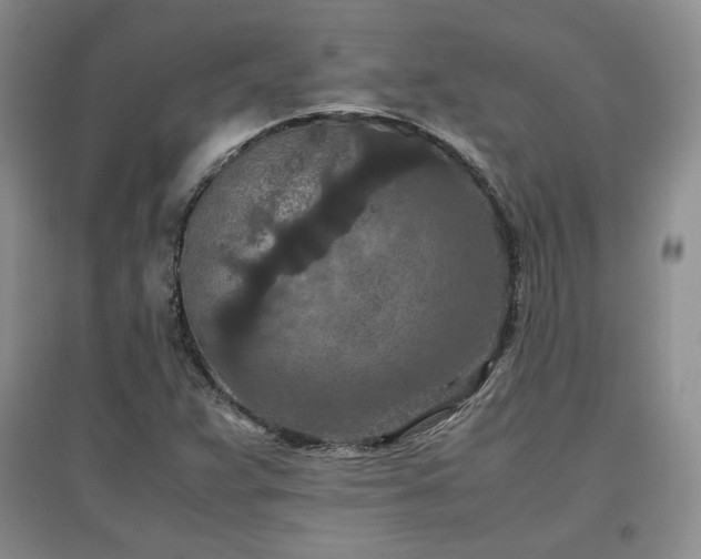 X0000097601359200803071421