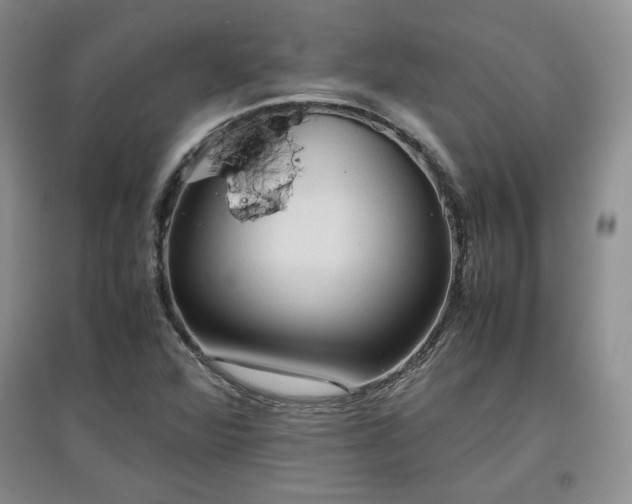 X0000097601360200803071421