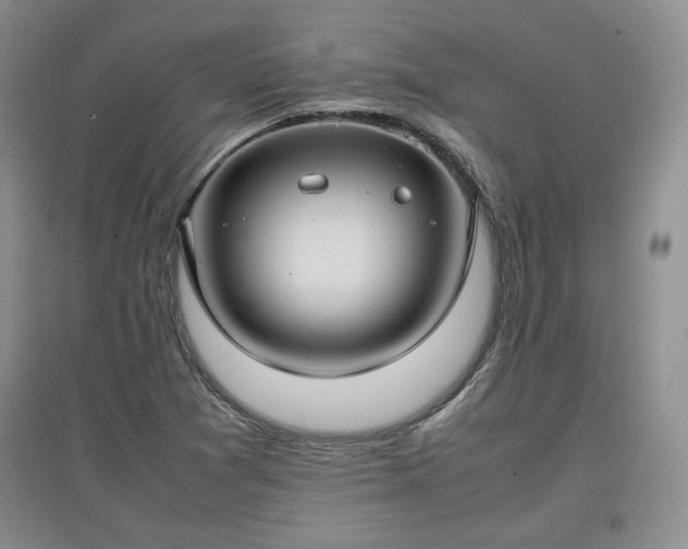 X0000097601361200803071421