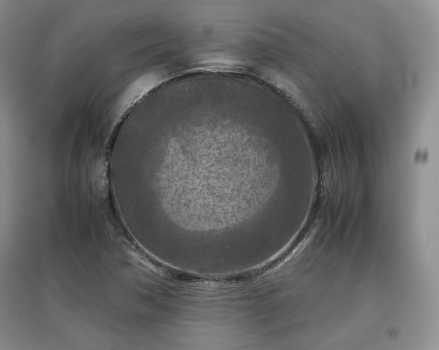 X0000097601362200803071421