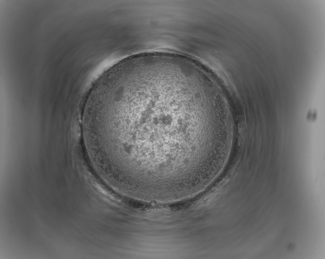 X0000097601363200803071421