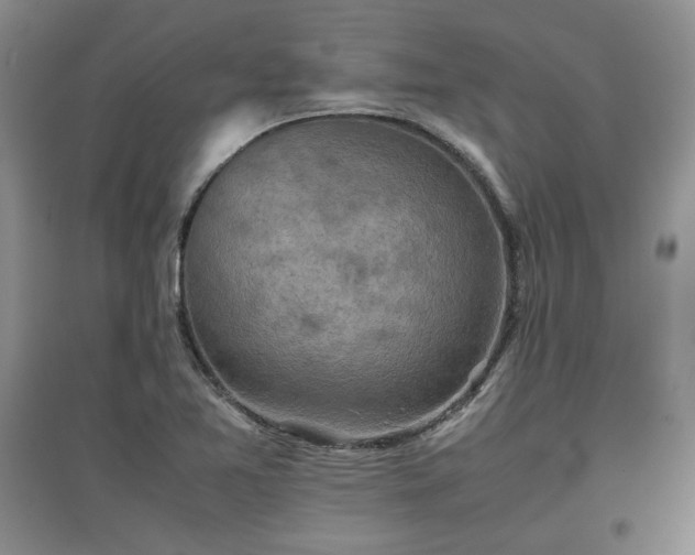 X0000097601365200803071421