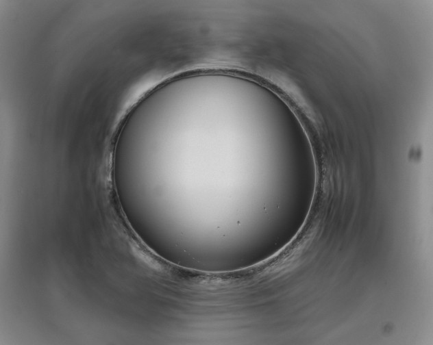 X0000097601366200803071421