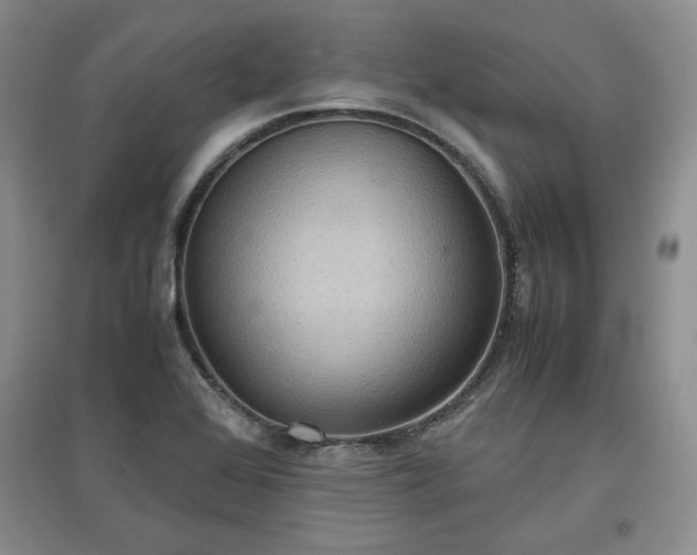 X0000097601368200803071421