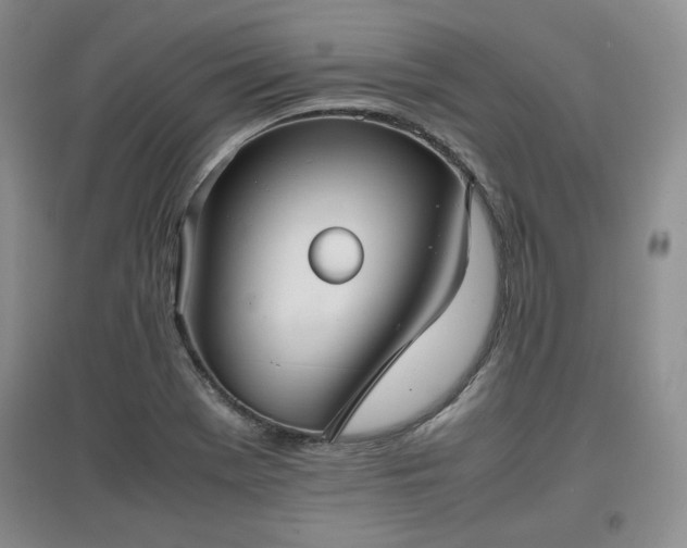 X0000097601369200803071421