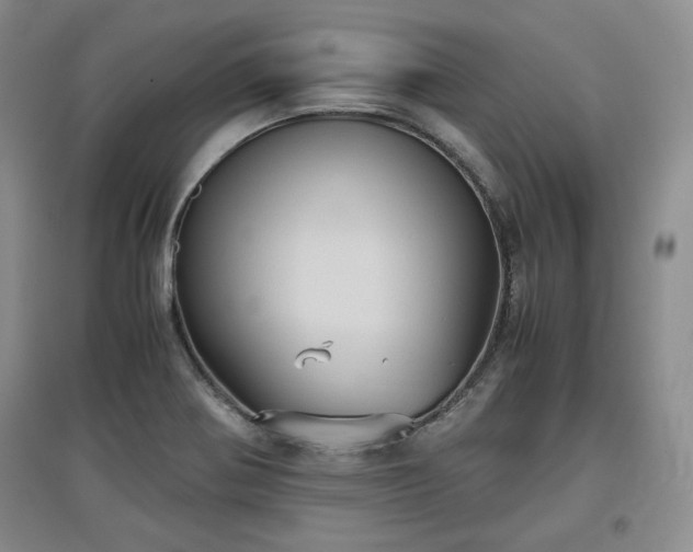 X0000097601370200803071421