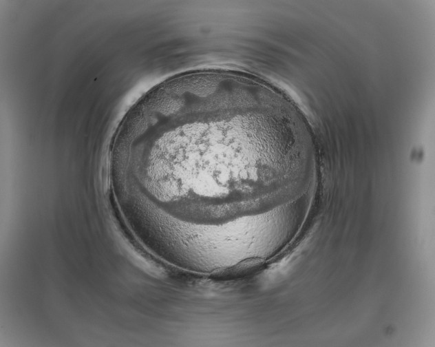 X0000097601371200803071421
