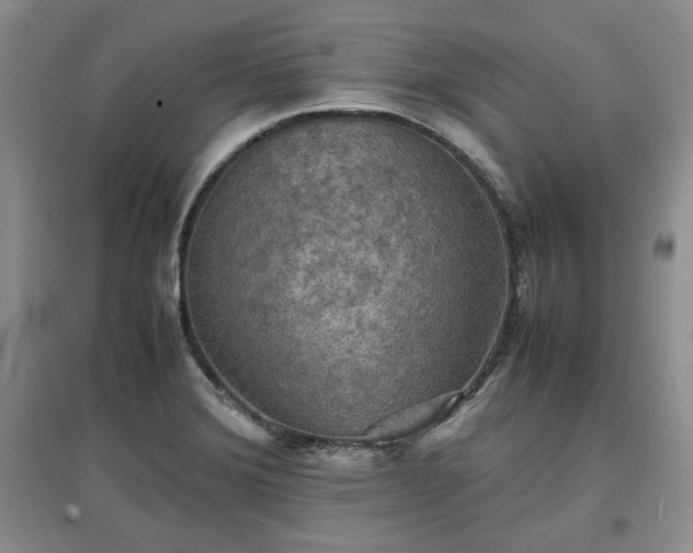 X0000097601372200803071421