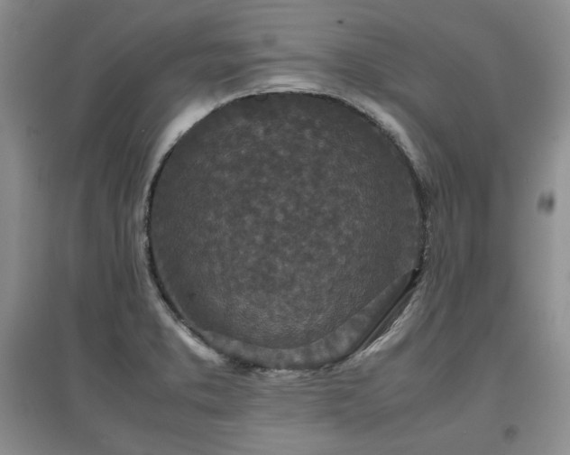 X0000097601373200803071421