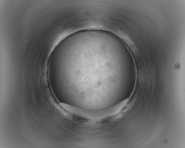 X0000097601374200803071421