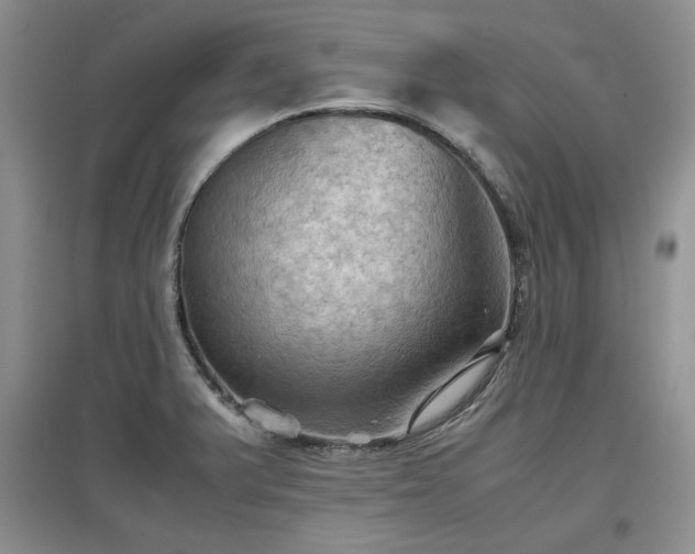 X0000097601375200803071421