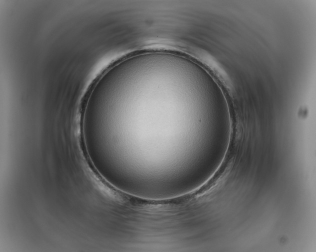 X0000097601376200803071421